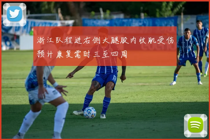 浙江队程进右侧大腿股内收肌受伤预计康复需时三至四周